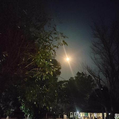 Pousada O Canto Da Seriema Nobres Buitenkant foto