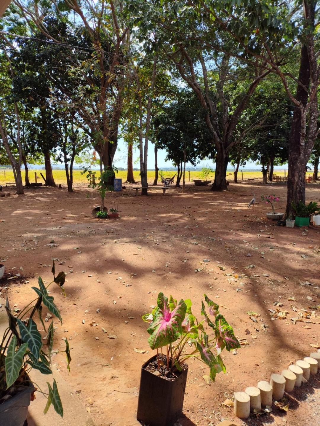 Pousada O Canto Da Seriema Nobres Buitenkant foto
